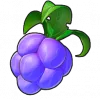 酸酸青提