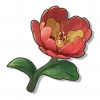 海神花
