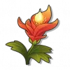火焰花