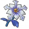 星霜花